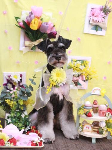 20230318ココくん